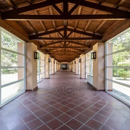 Amalia Meteora カランバカ