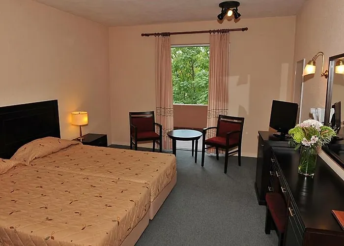 Hotel Amalia Meteora 4*