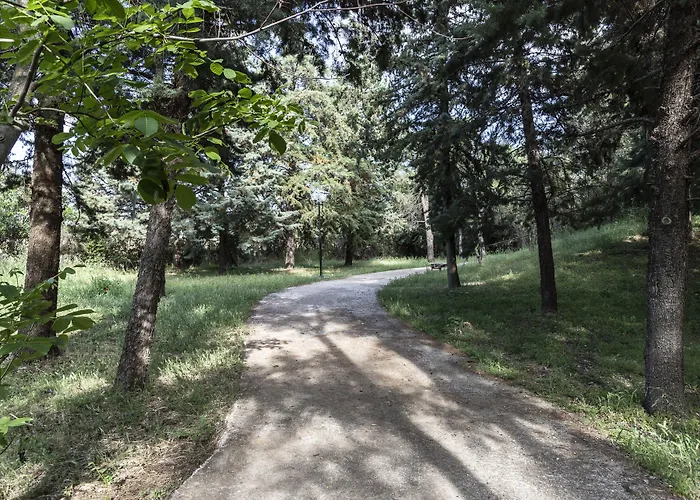 Amalia Meteora ホテル